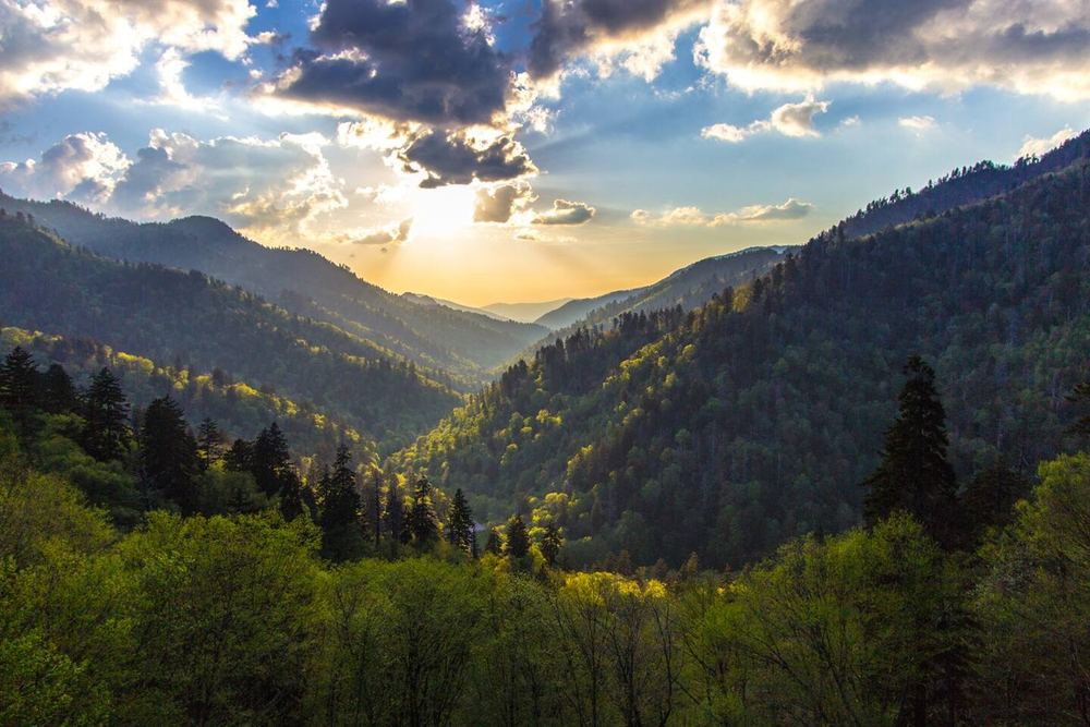 Newfound Gap Road